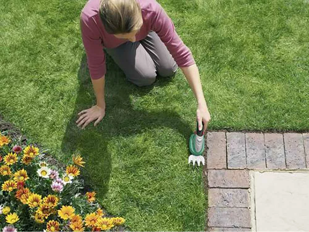 Cisaille Ă Batterie Pour Pelouse Bosch ISIO3 - Lame Gazon Et Lame Haies â Image 14