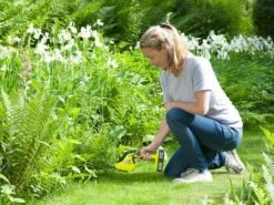 Cisaille Ă Batterie Pour Pelouse RYOBI OGS1822 - 18V - SANS BATTERIE NI CHARGEUR