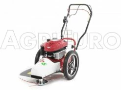 Débroussailleuse à Roues Bluebird FLO Speed 6BS B&S 675 EX