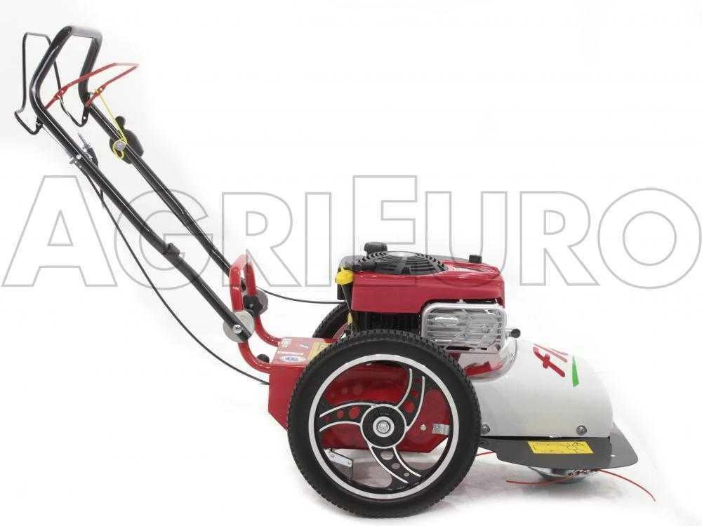 Tondeuse Débroussailleuse Thermique FLO Pro Speed 6BS B&S 850E Tondeuse Broyeuse à Roues – Image 3