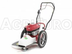 Tondeuse Débroussailleuse Thermique FLO Speed 6BS B&S 675EX Débroussailleuse à Roues