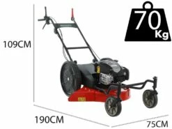 Tondeuse Débroussailleuse Benassi FT552 4R - Motofaucheuse 4 Roues - Lame De 52cm