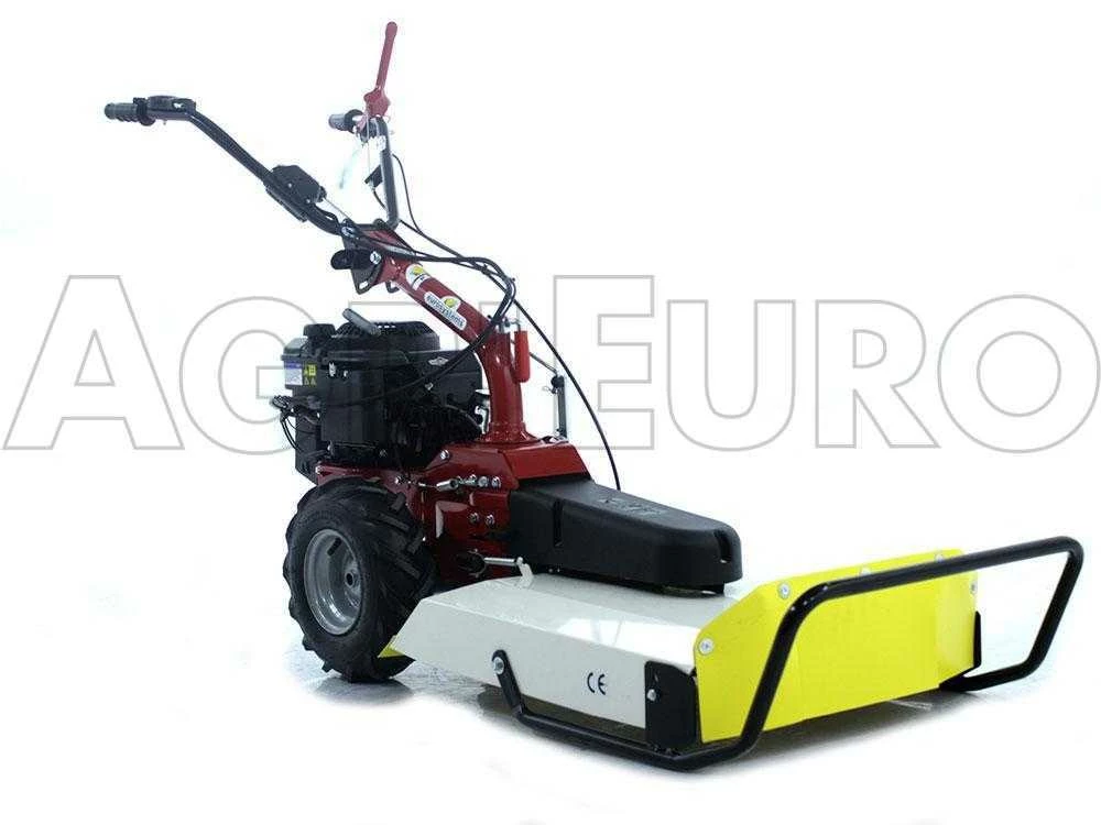 Tondeuse Débroussailleuse Thermique Eurosystems P55 à Démarrage électrique à Batterie